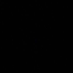 Meet your Posher, Resha